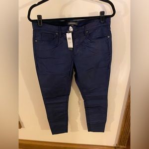 Banana Republic Velvet Skinny Jeans